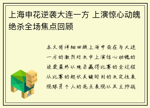 上海申花逆袭大连一方 上演惊心动魄绝杀全场焦点回顾